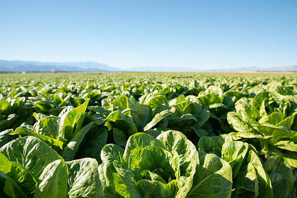 Centralized seed trial data